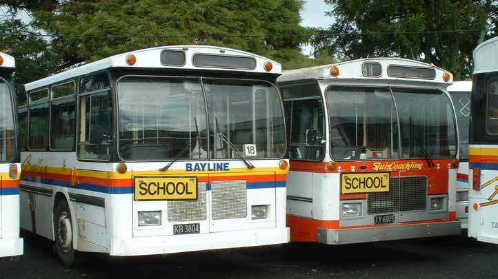 Bayline Bristol RELL6L NZMB-Hess 31 & 34